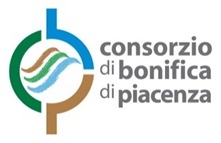 Consorzio